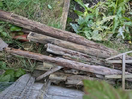 Photo of free bonfire wood (Undercliffe BD2) #2