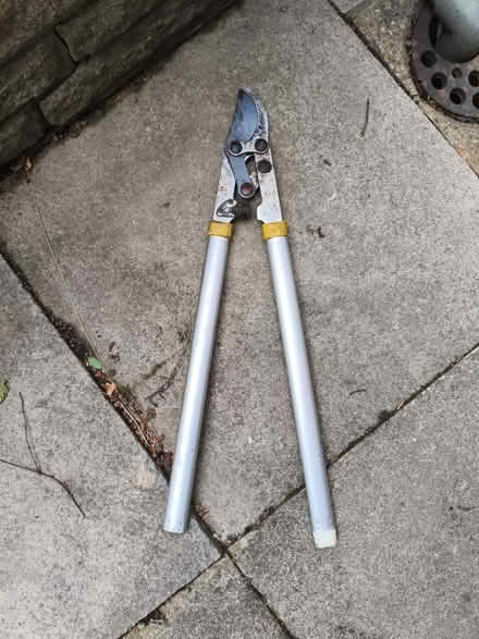 Photo of free Old loppers (Bradway) #1