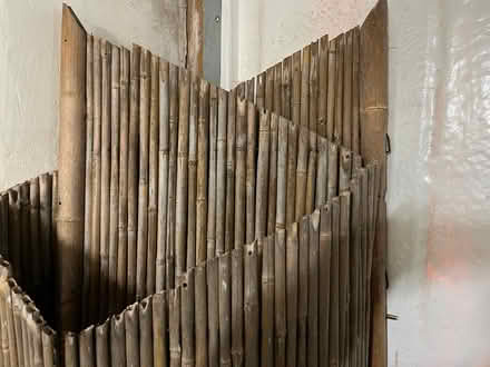 Photo of free Bamboo fencing (Keighley BD20) #2