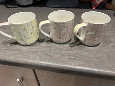 Photo of free Next hare mugs (Plumpton CA11) #1