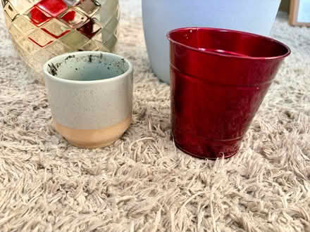Photo of free Indoor plant pots (Belper DE56) #3