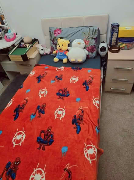 Photo of free Single bed and mattress (Witham CM8) #1