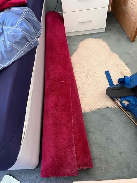 Photo of free Large carpet offcut (CH2 Newton) #1