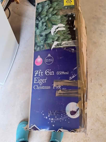Photo of free Christmas tree (Smarden) #1