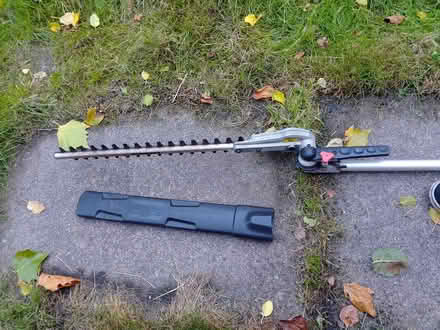 Photo of free Long reach hedge trimmer (Kingstanding B44) #2