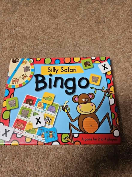 Photo of free Pre-school game. Silly Safari Bingo (Drayton OX14) #1