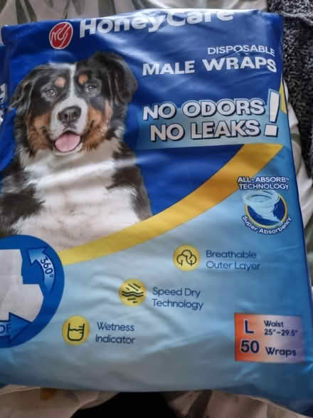 Photo of free Male Dog Incontinence Wraps (Fiveways Brighton) #1