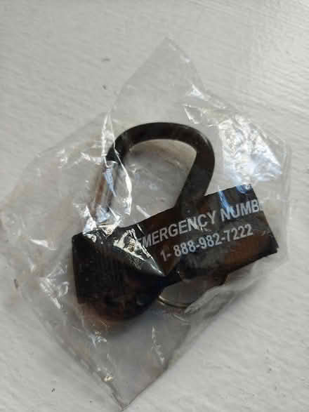 Photo of free Caribiner key chain unused (Hamilton Heights) #1