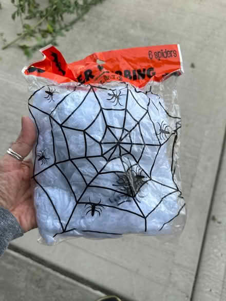 Photo of free Spiderweb with spiders (Elmhurst area) #1
