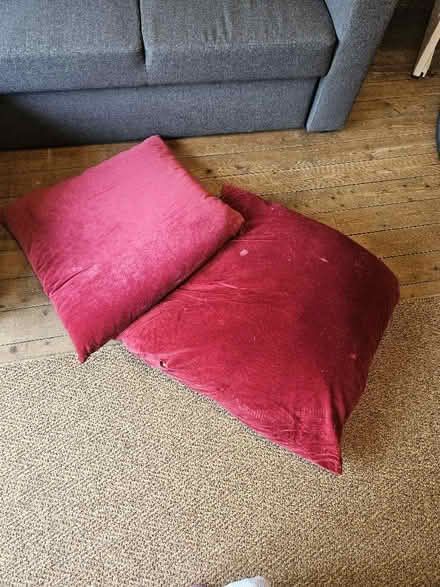 Photo of free 2 x large velvet floor cushions (Llandrindod LD1) #1
