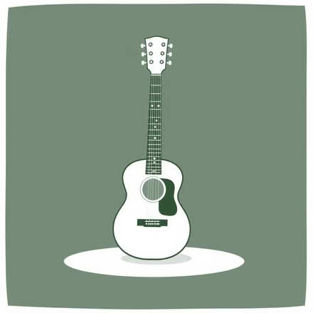 Photo of Medium/ large Guitar (West Midlands DY1) #1