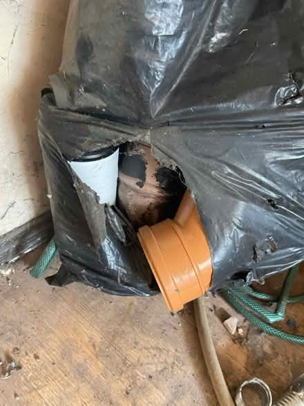 Photo of free Shed Clearance (Walkinstown) #3