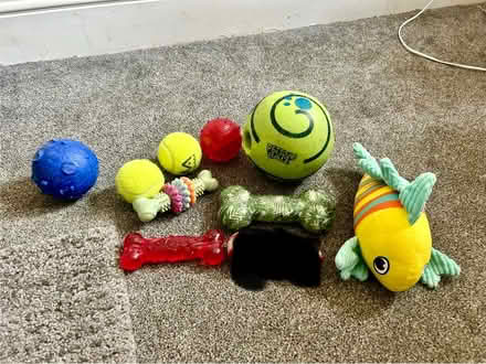 Photo of free Dog toys (Plumpton CA11) #1