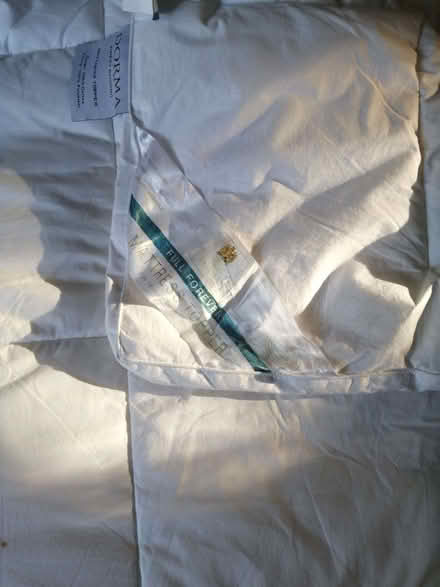 Photo of free King size mattress topper (Heathfield TN21) #3