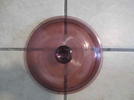 Photo of free rose glass lid for pots (Winter Park, FL) #1