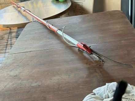 Photo of free Pully pole pruner (McCollum Park area) #1