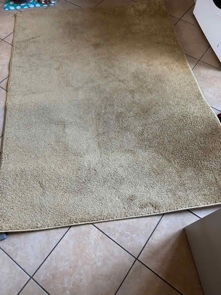 Photo of free Amber gold rug (Haydon TA1) #1