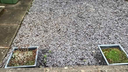 Photo of free grey garden slate (Dy12 2bw) #3
