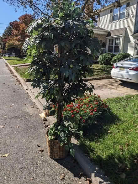Photo of free Artificial Plant/Tree (Belford, N.J.) #2
