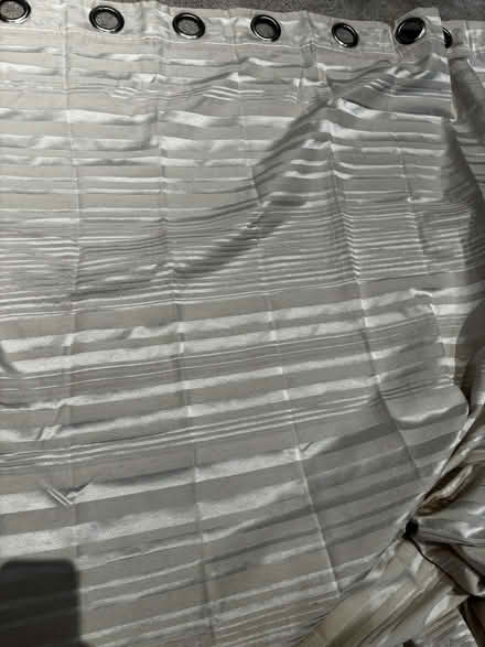 Photo of free Beige embossed ring curtains x 2 drops (West Norwood SE21) #2