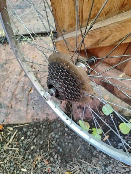 Photo of free Bike wheel (North Lichfield WS13) #2