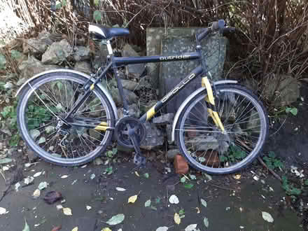 Photo of free Mountain Bike (Buxton Central SK17) #1