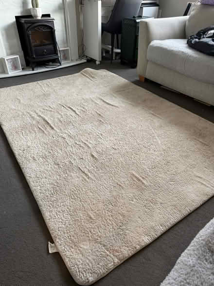 Photo of free Large rug (Hadlow TN11) #1