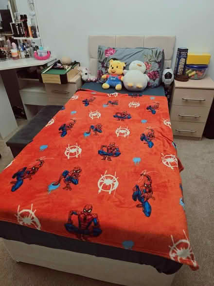 Photo of free Single bed and mattress (Witham CM8) #2