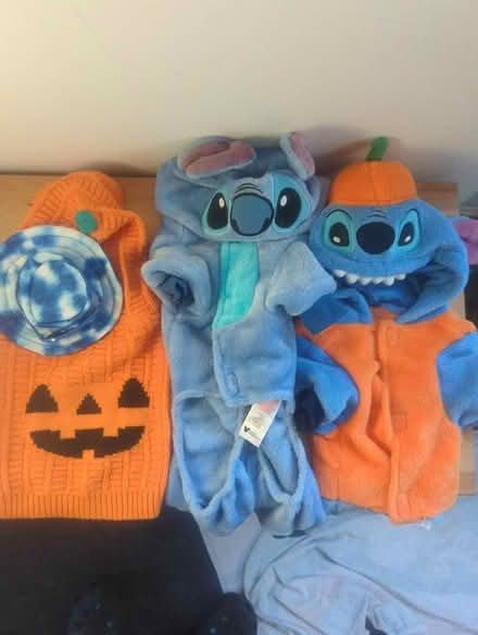 Photo of free Dog costumes (Biddenham MK40) #1