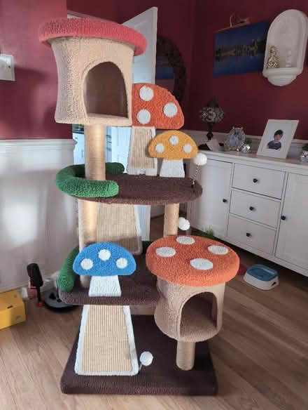 Photo of free Mushroom cat pole (Mile House TS19) #1