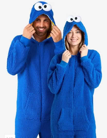 Photo of Two Adult Costumes (Chelmsford/ Westford area) #1