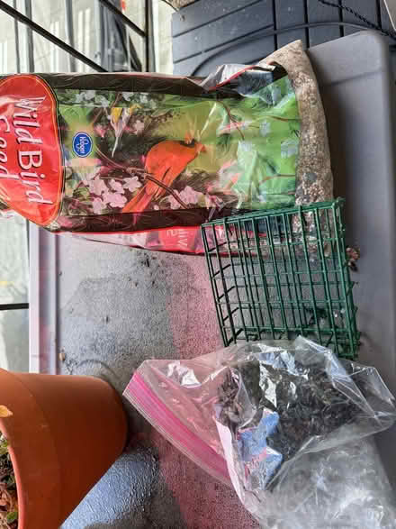 Photo of free Bird seed and suet feeder (Eastlake) #1