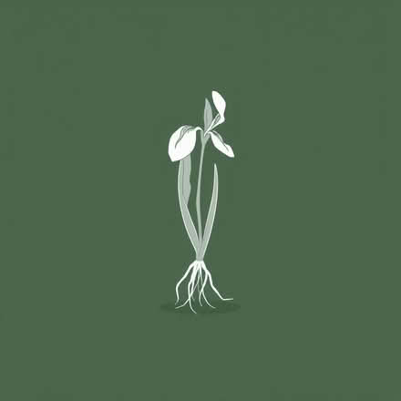 Photo of free Iris rizones with roots (South Tonbridge TN9) #1