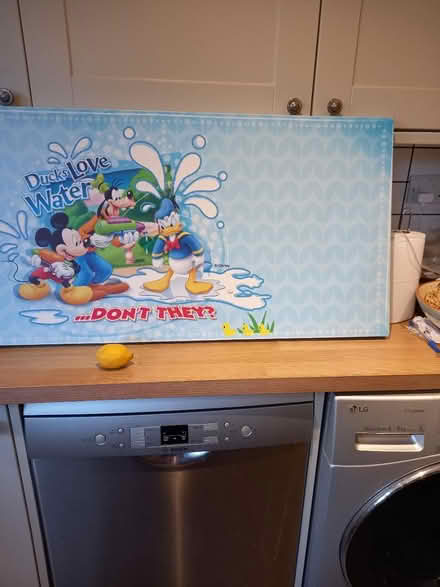 Photo of free Disney canvas (Roundhill area brighton BN2) #2