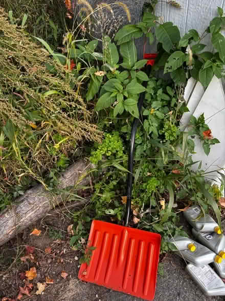 Photo of free Ergonomic snow shovel (Near Chelmsford Center) #1