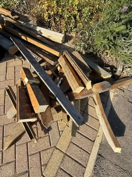 Photo of free Firewood (Welwyn AL7) #3