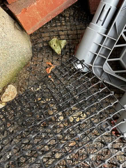 Photo of free Spiky scat mat (Near Chelmsford Center) #1