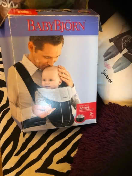 Photo of free Baby carrier (Gracemount EH17) #3