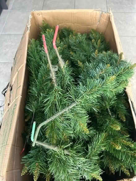 Photo of free Coeden Nadolig/Christmas tree (Tregarth LL57) #4
