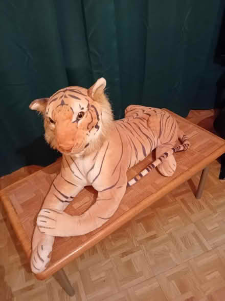 Photo of free Stuffed Tiger (Rose Hill OX4) #1