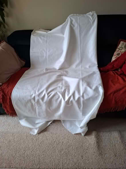 Photo of free Shower curtain (Cogges OX28) #3
