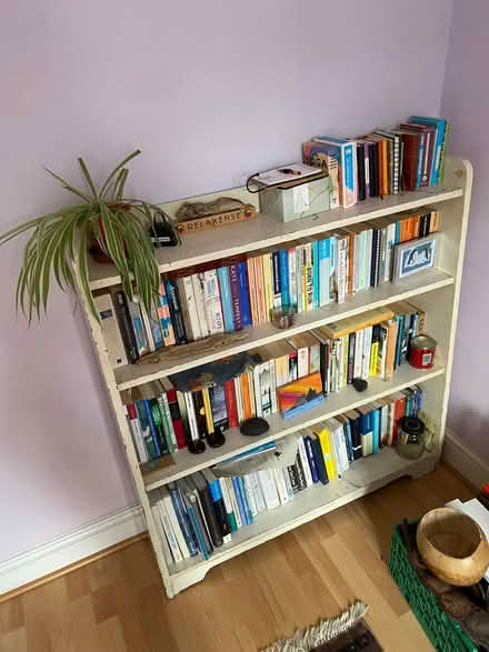 Photo of free Bookshelf (Seven Dials BN1) #2