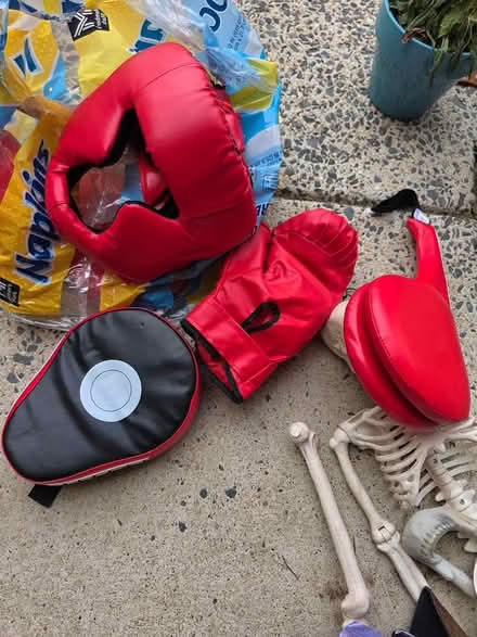 Photo of free Beginners boxing gear (M- Section Bowie) #1