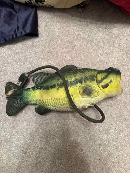 Photo of free Truck Hitch Fish (Hyde Park) #2