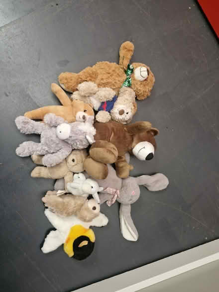 Photo of free Soft Toys (D18E0K6) #1
