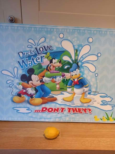 Photo of free Disney canvas (Roundhill area brighton BN2) #1