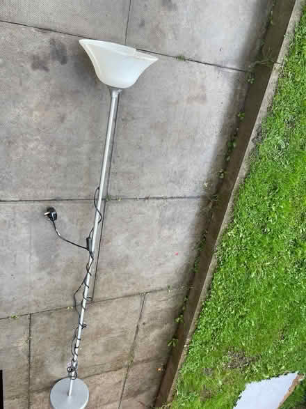 Photo of free Reading light (Princess Drive L14) #2