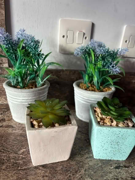 Photo of free Artificial plants in pots (Bacton IP14) #4