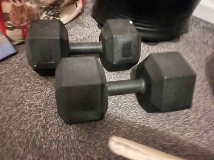 Photo of free Boxing punch bag and 2 x 5kg weights (Beeston Fields Drive NG9) #4