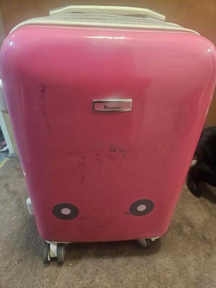 Photo of free Pink suitcase (Tottenham N17) #4